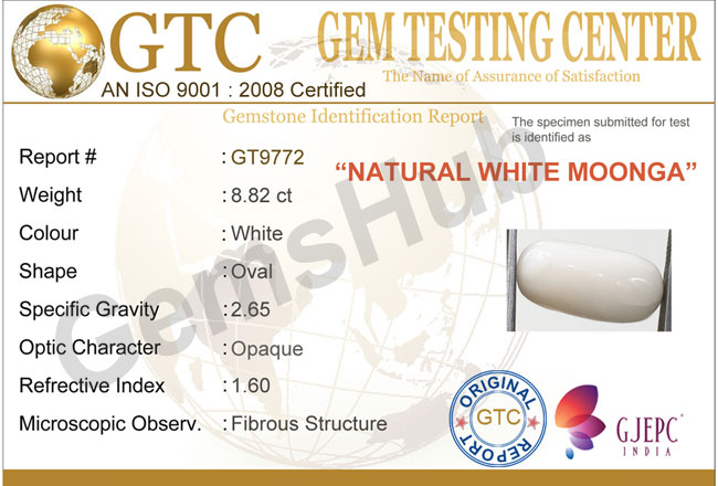 8.82 ct Natural Certified  White Coral/सफ़ेद मूंगा